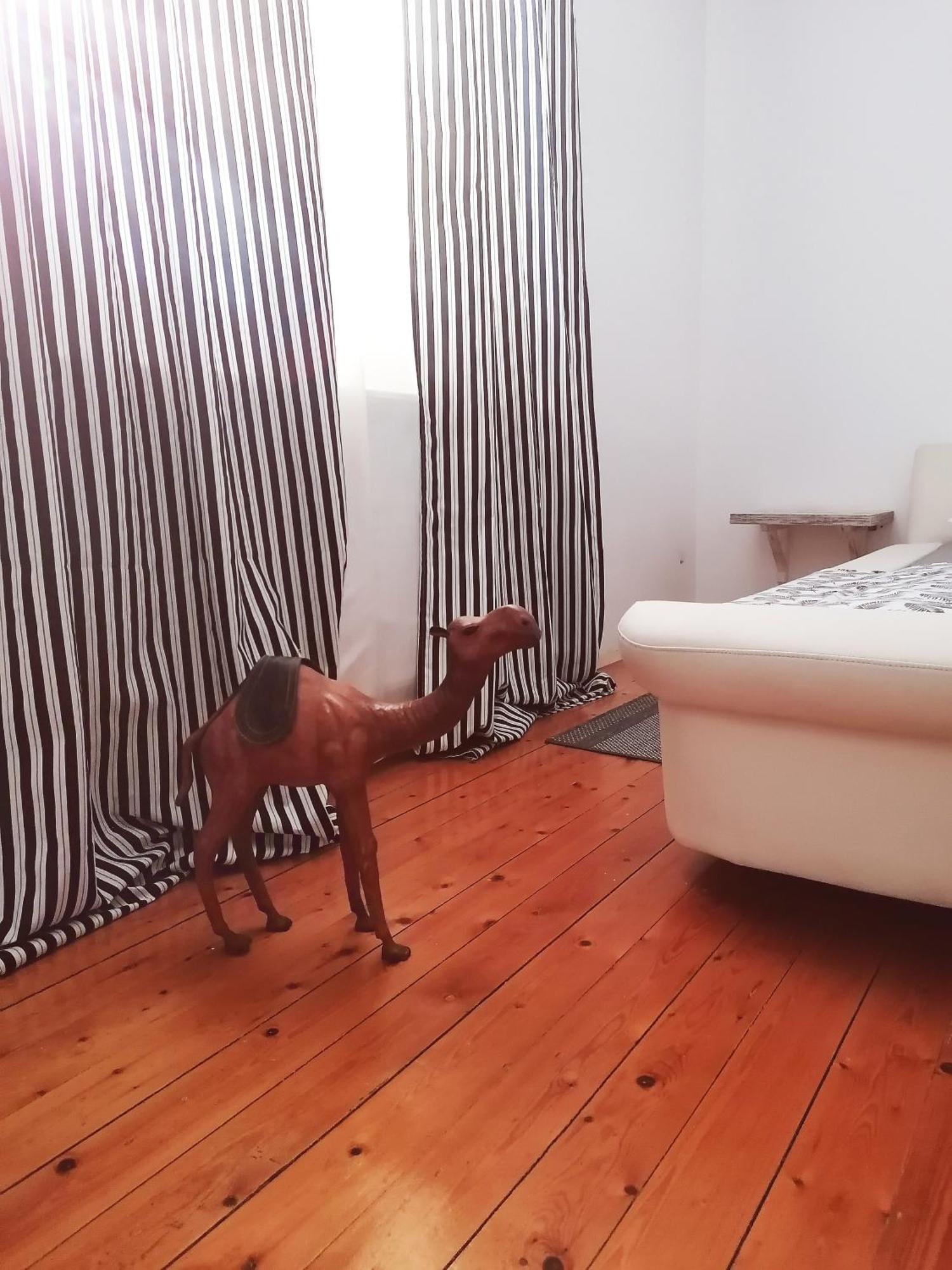 Apartman Centar Kruševac 外观 照片